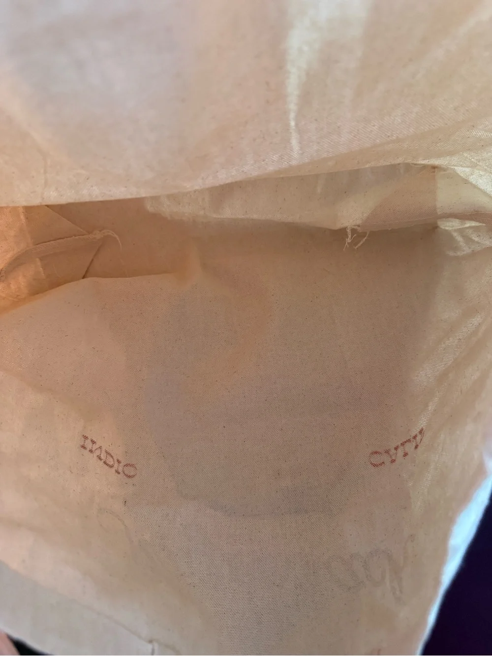 American Eagle x Stagecoach Festival collab NEW canvas tote bag